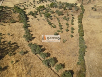 Terreno para Venda em Santa Clara-A-Nova e Gomes Aires