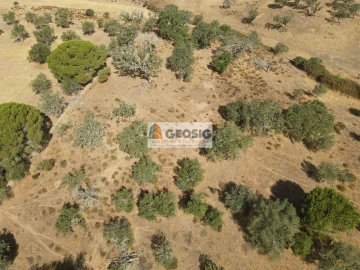 Terreno para Venda em Santa Clara-A-Nova e Gomes Aires