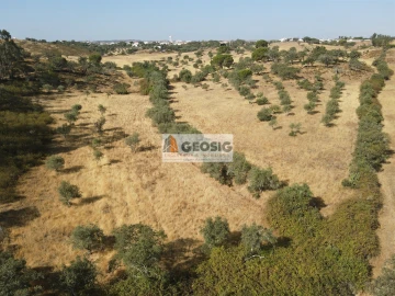 Terreno para Venda em Santa Clara-A-Nova e Gomes Aires