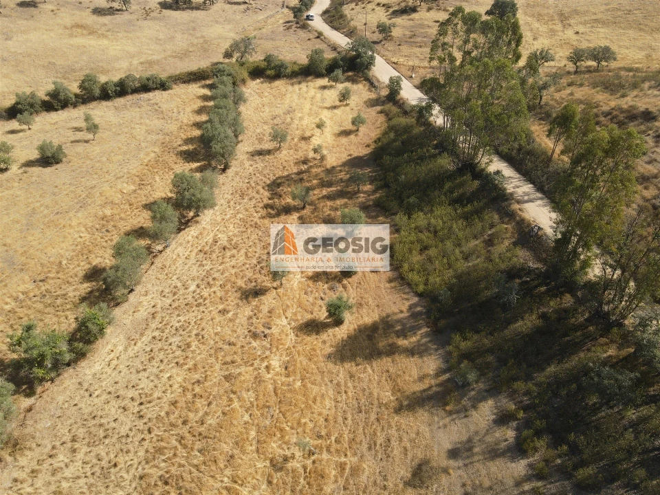 Terreno para Venda em Santa Clara-A-Nova e Gomes Aires Foto 7