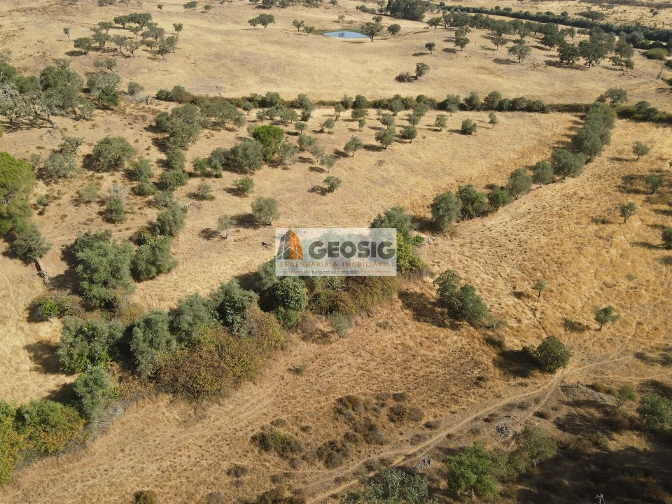 Terreno para Venda em Santa Clara-A-Nova e Gomes Aires Foto 4