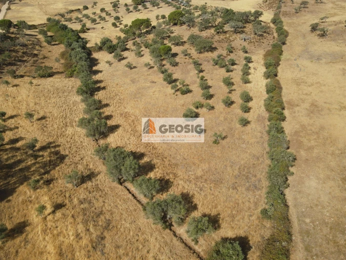 Terreno para Venda em Santa Clara-A-Nova e Gomes Aires Foto 10