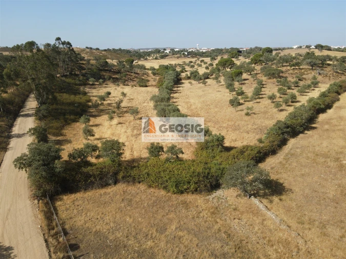 Terreno para Venda em Santa Clara-A-Nova e Gomes Aires Foto 2