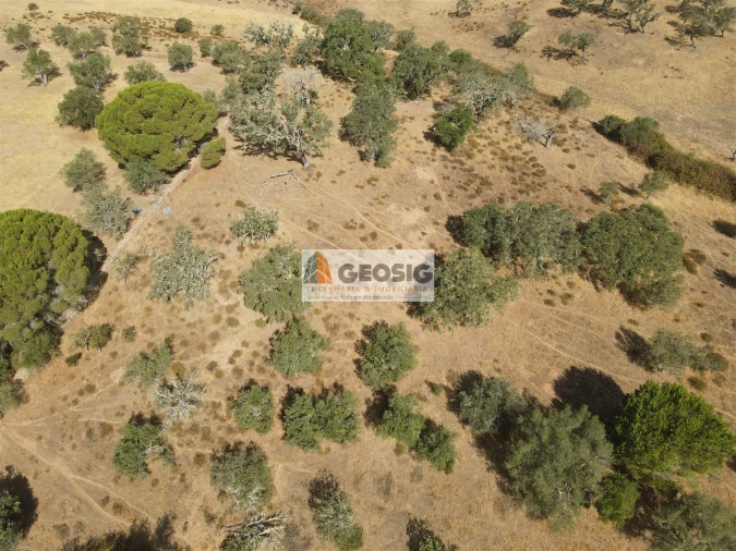 Terreno para Venda em Santa Clara-A-Nova e Gomes Aires Foto 3