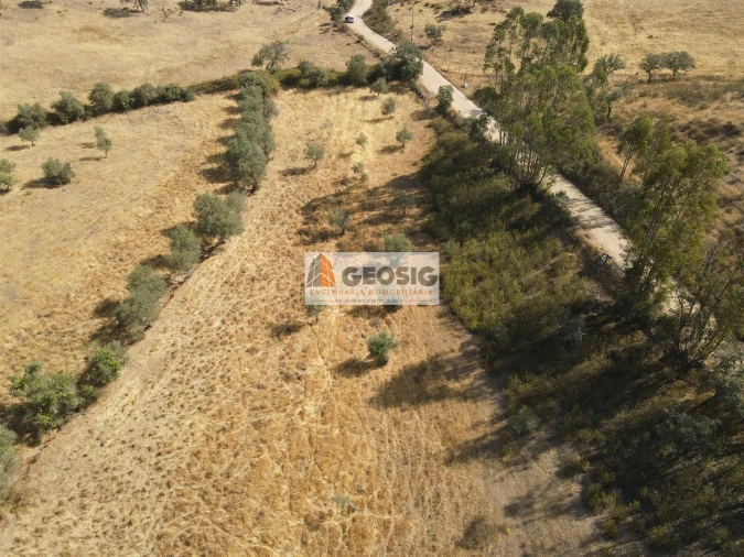 Terreno para Venda em Santa Clara-A-Nova e Gomes Aires Foto 7