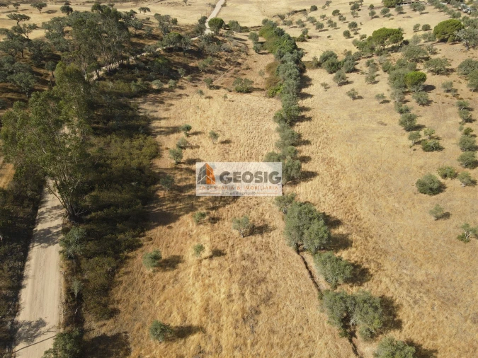 Terreno para Venda em Santa Clara-A-Nova e Gomes Aires Foto 5