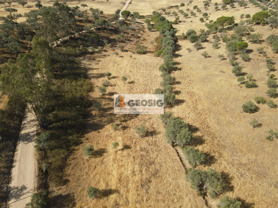 Terreno para Venda em Santa Clara-A-Nova e Gomes Aires Foto 5