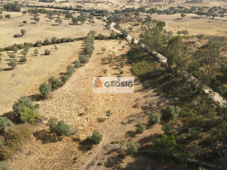 Terreno para Venda em Santa Clara-A-Nova e Gomes Aires Foto 12