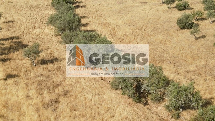 Terreno para Venda em Santa Clara-A-Nova e Gomes Aires