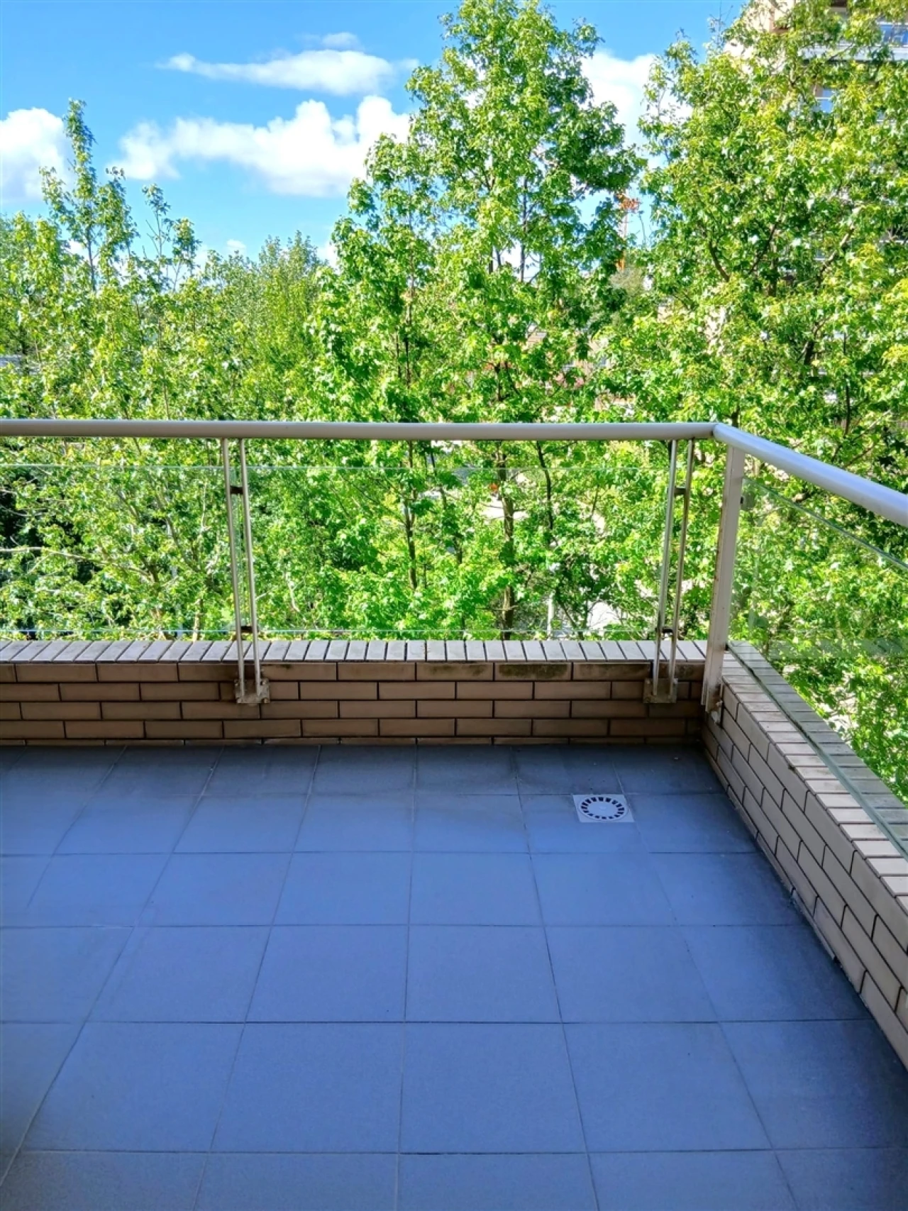 Apartamento T3 para Venda em Aldoar, Foz do Douro e Nevogilde Foto 13