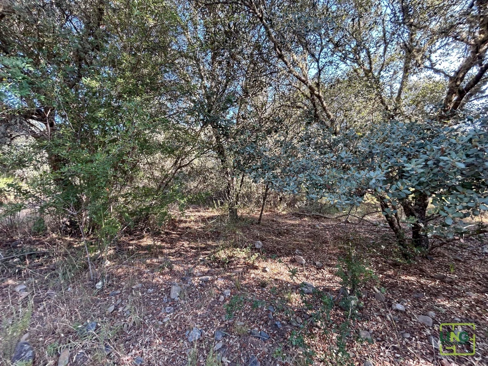 Terreno Agricola ou Rústico para Venda em Aranhas Foto 25