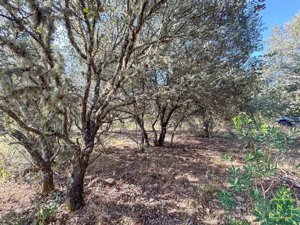Terreno Agricola ou Rústico para Venda em Aranhas Foto 34