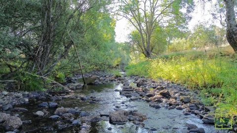 Terreno Agricola ou Rústico para Venda em Aranhas