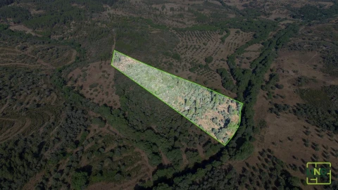 Terreno Agricola ou Rústico para Venda em Aranhas