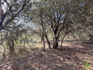 Terreno Agricola ou Rústico para Venda em Aranhas