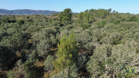 Terreno Agricola ou Rústico para Venda em Aranhas