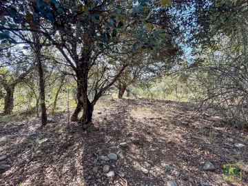 Terreno Agricola ou Rústico para Venda em Aranhas