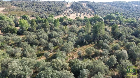 Terreno Agricola ou Rústico para Venda em Aranhas