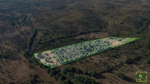 Terreno Agricola ou Rústico para Venda em Aranhas