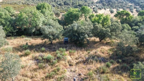 Terreno Agricola ou Rústico para Venda em Aranhas