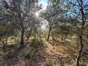 Terreno Agricola ou Rústico para Venda em Aranhas