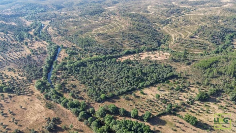 Terreno Agricola ou Rústico para Venda em Aranhas