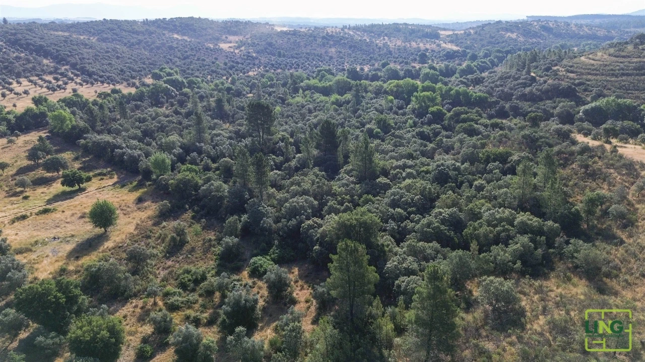 Terreno Agricola ou Rústico para Venda em Aranhas Foto 8