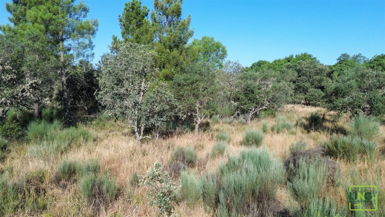Terreno Agricola ou Rústico para Venda em Aranhas Foto 26