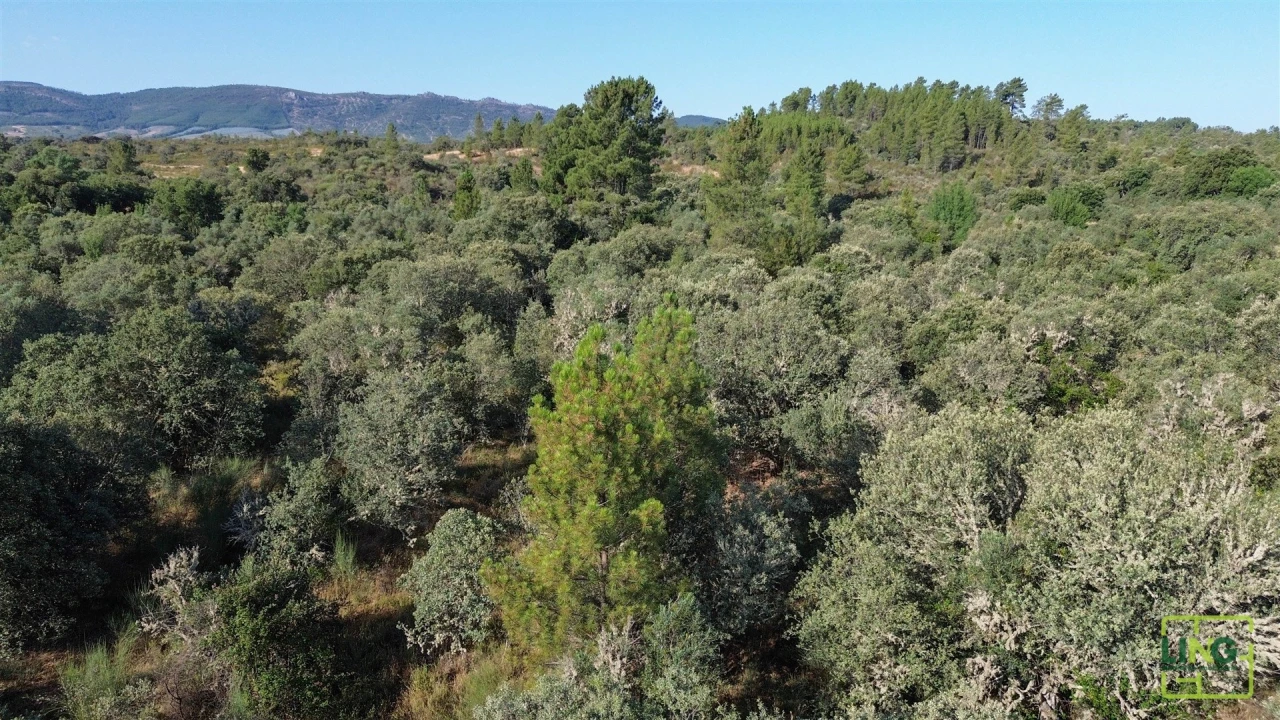 Terreno Agricola ou Rústico para Venda em Aranhas Foto 12
