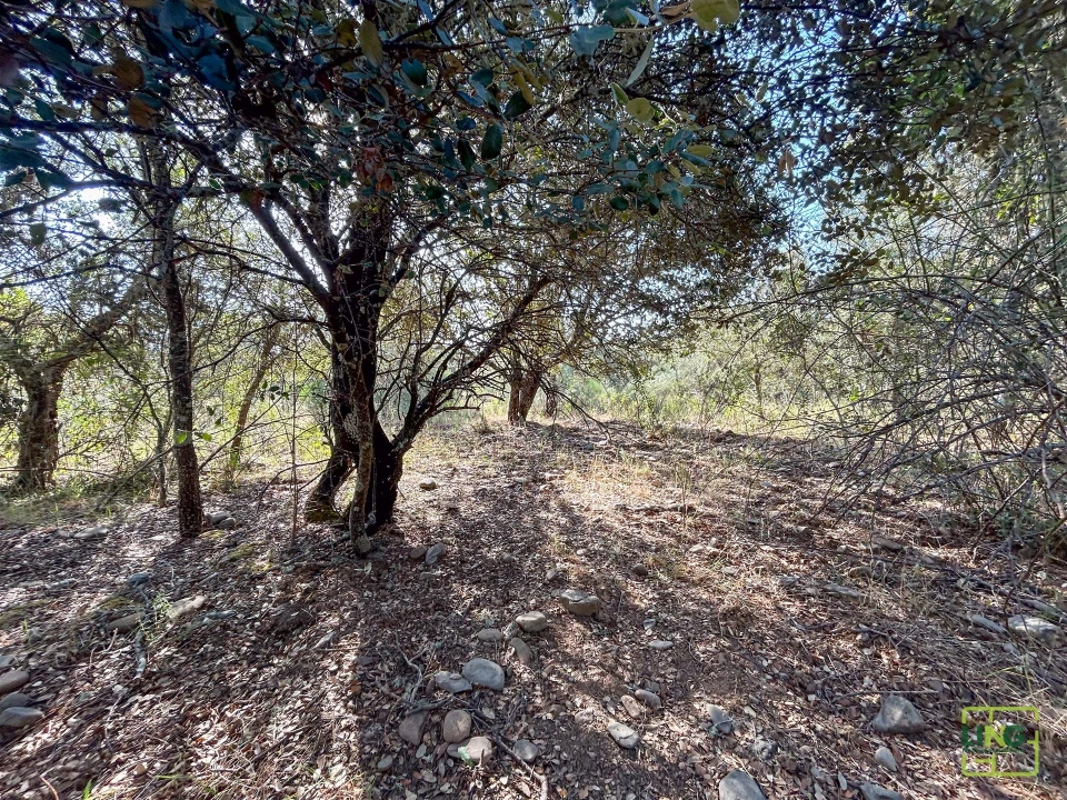 Terreno Agricola ou Rústico para Venda em Aranhas Foto 32