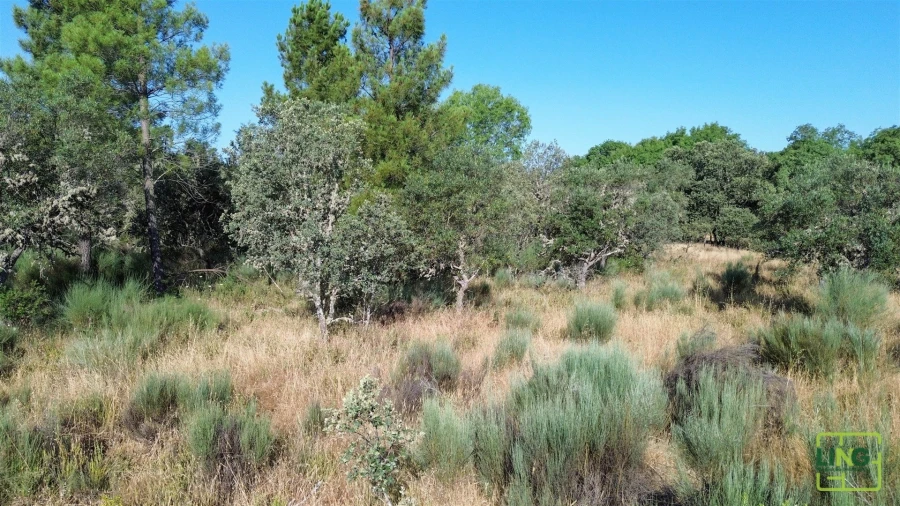 Terreno Agricola ou Rústico para Venda em Aranhas Foto 26