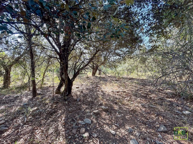 Terreno Agricola ou Rústico para Venda em Aranhas Foto 32