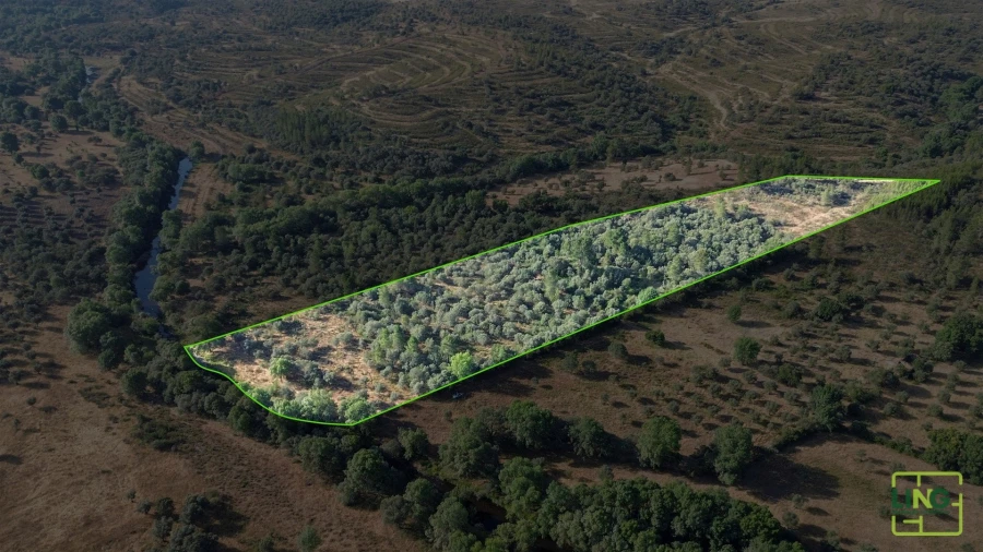 Terreno Agricola ou Rústico para Venda em Aranhas Foto 21