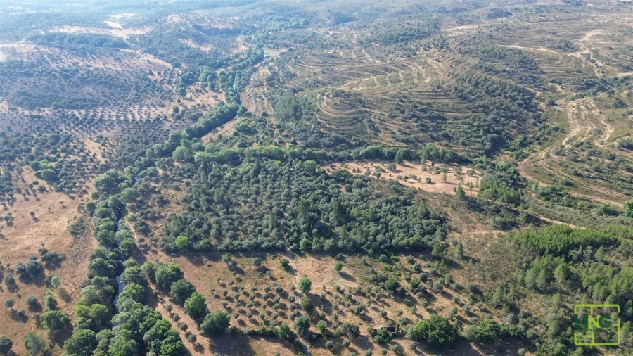 Terreno Agricola ou Rústico para Venda em Aranhas Foto 5