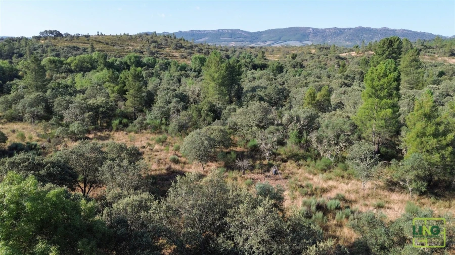 Terreno Agricola ou Rústico para Venda em Aranhas Foto 14