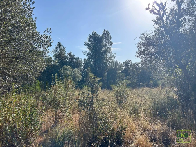 Terreno Agricola ou Rústico para Venda em Aranhas Foto 37