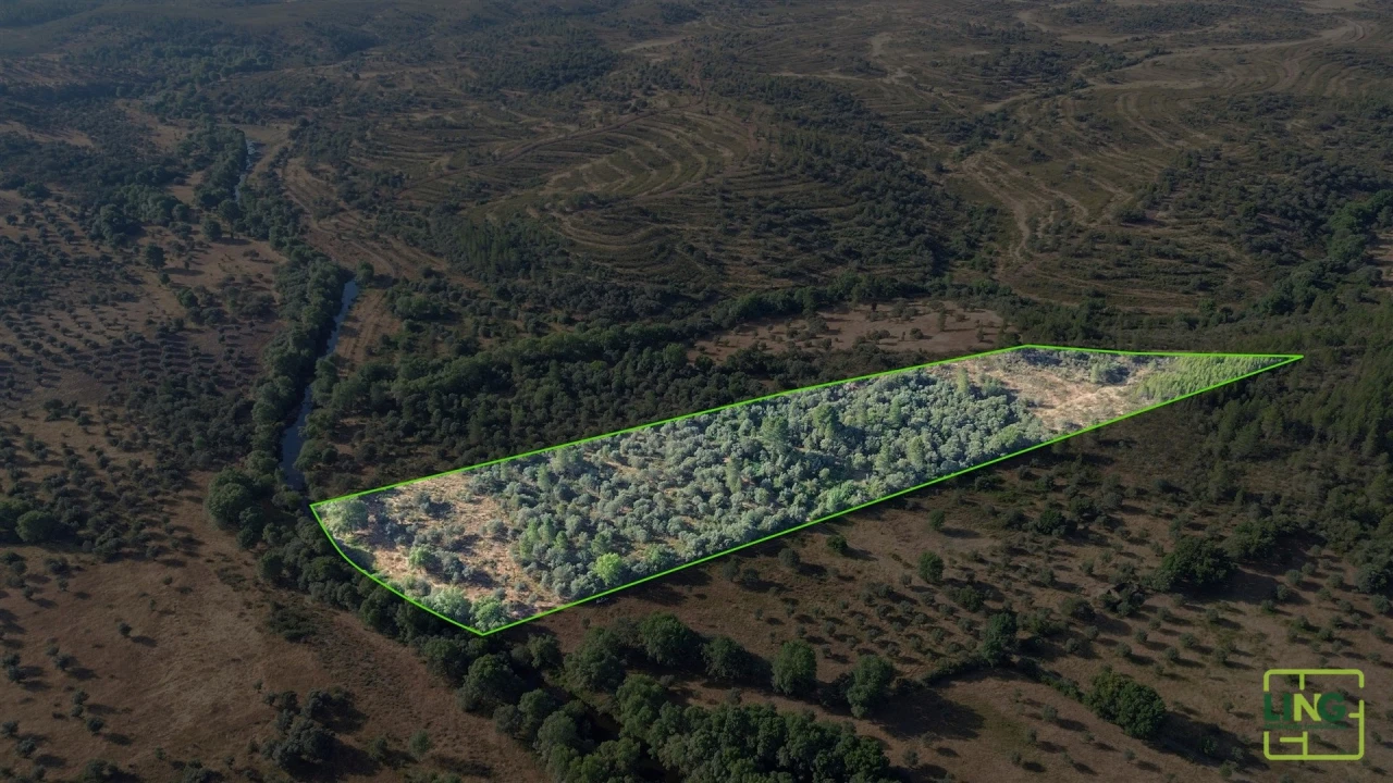 Terreno Agricola ou Rústico para Venda em Aranhas Foto 20