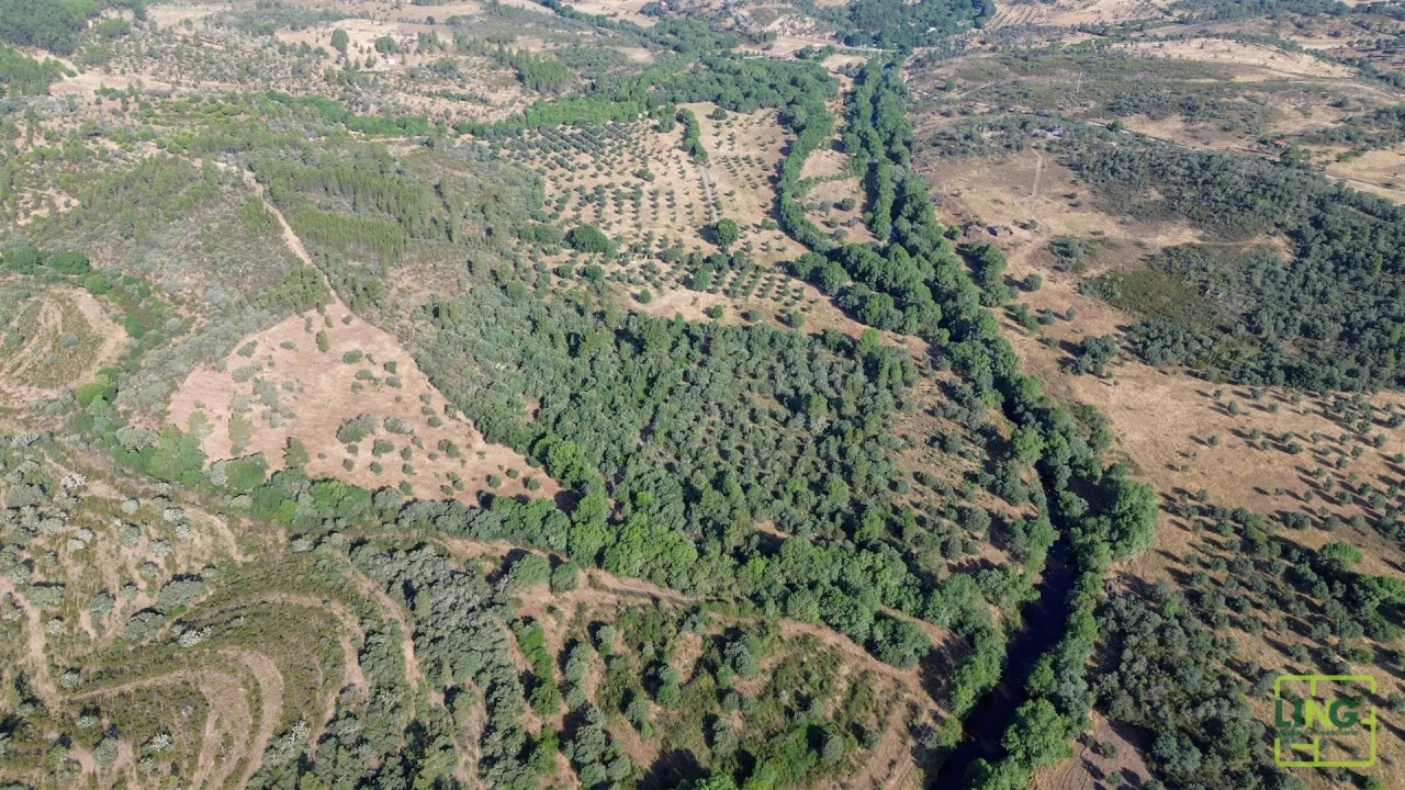 Terreno Agricola ou Rústico para Venda em Aranhas Foto 19