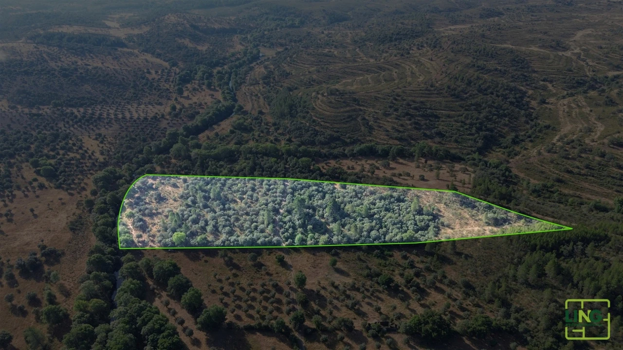 Terreno Agricola ou Rústico para Venda em Aranhas Foto 6