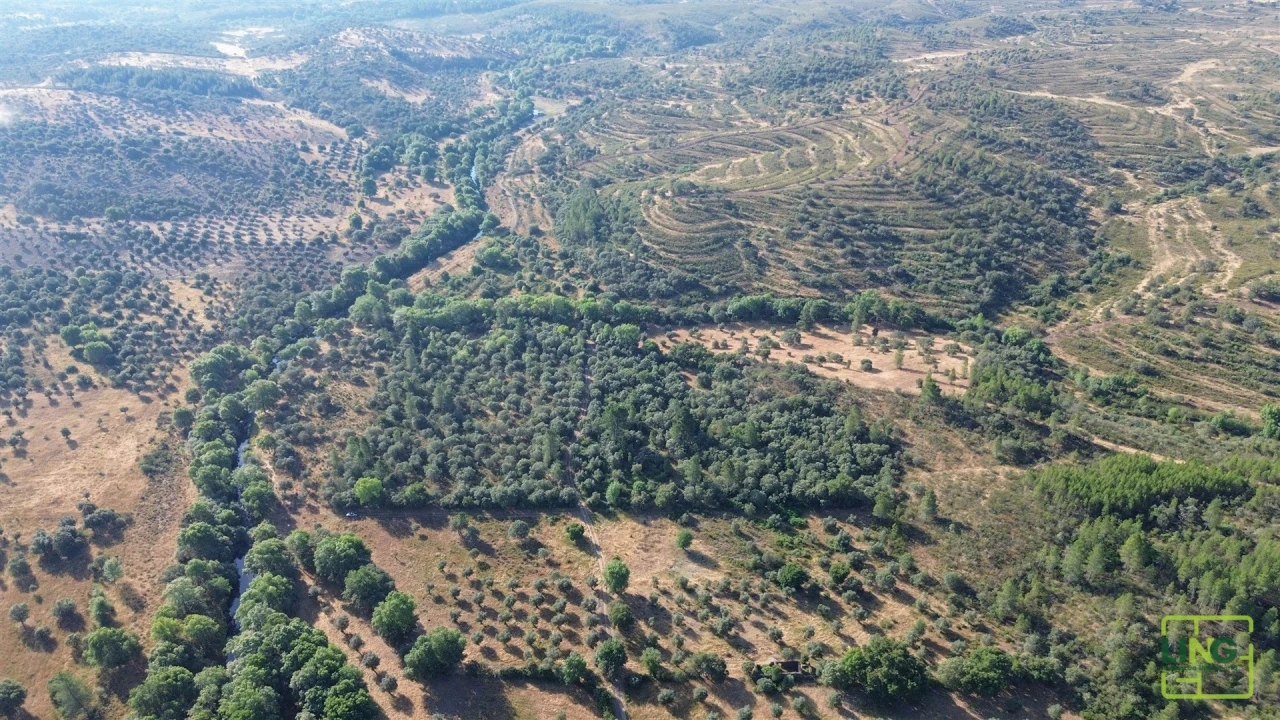 Terreno Agricola ou Rústico para Venda em Aranhas Foto 5