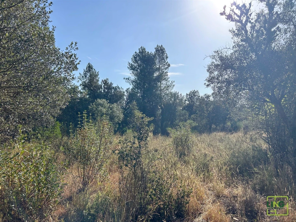 Terreno Agricola ou Rústico para Venda em Aranhas Foto 37