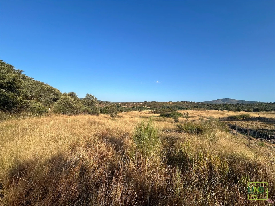 Terreno Agricola ou Rústico para Venda em Aranhas Foto 34