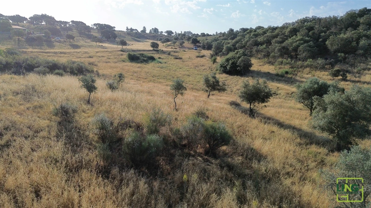Terreno Agricola ou Rústico para Venda em Aranhas Foto 28