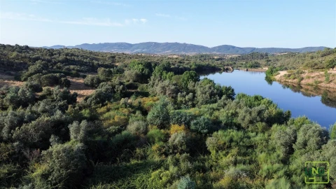Terreno Agricola ou Rústico para Venda em Aranhas