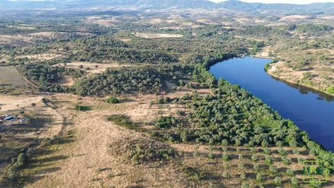 Terreno Agricola ou Rústico para Venda em Aranhas