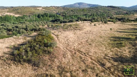 Terreno Agricola ou Rústico para Venda em Aranhas