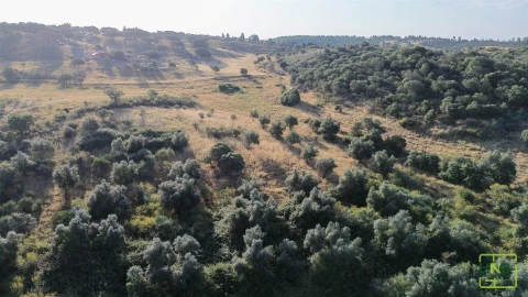 Terreno Agricola ou Rústico para Venda em Aranhas