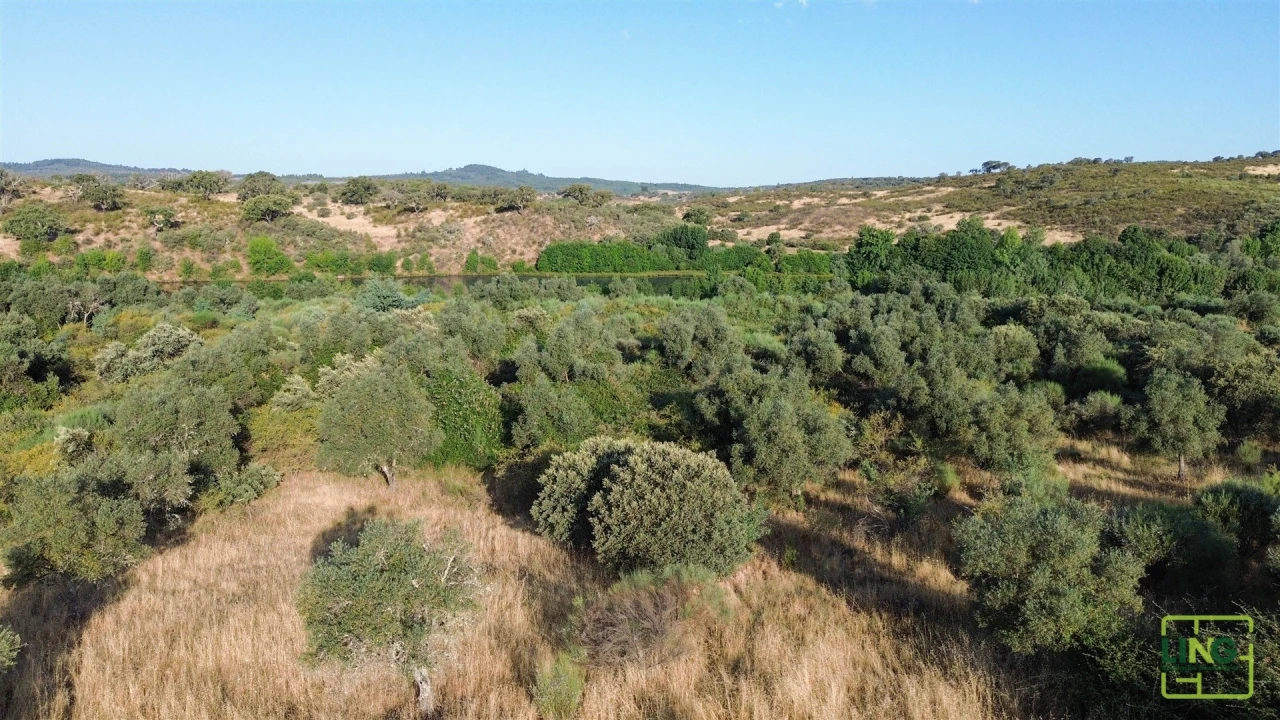 Terreno Agricola ou Rústico para Venda em Aranhas Foto 23