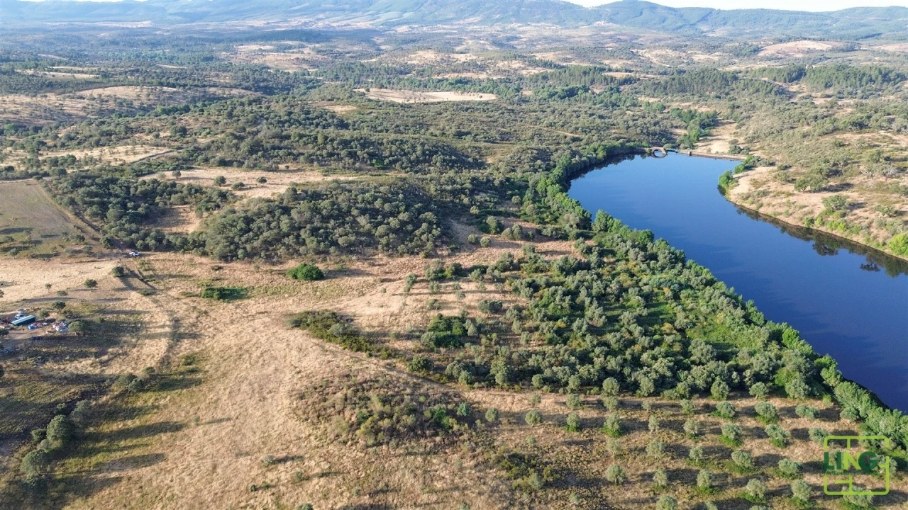 Terreno Agricola ou Rústico para Venda em Aranhas Foto 4
