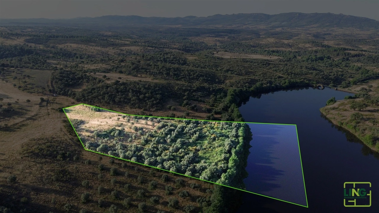Terreno Agricola ou Rústico para Venda em Aranhas Foto 12